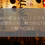 TSLLの配当金はいくらですか？投資家必見！魅力的なTSLLの魅力に迫る